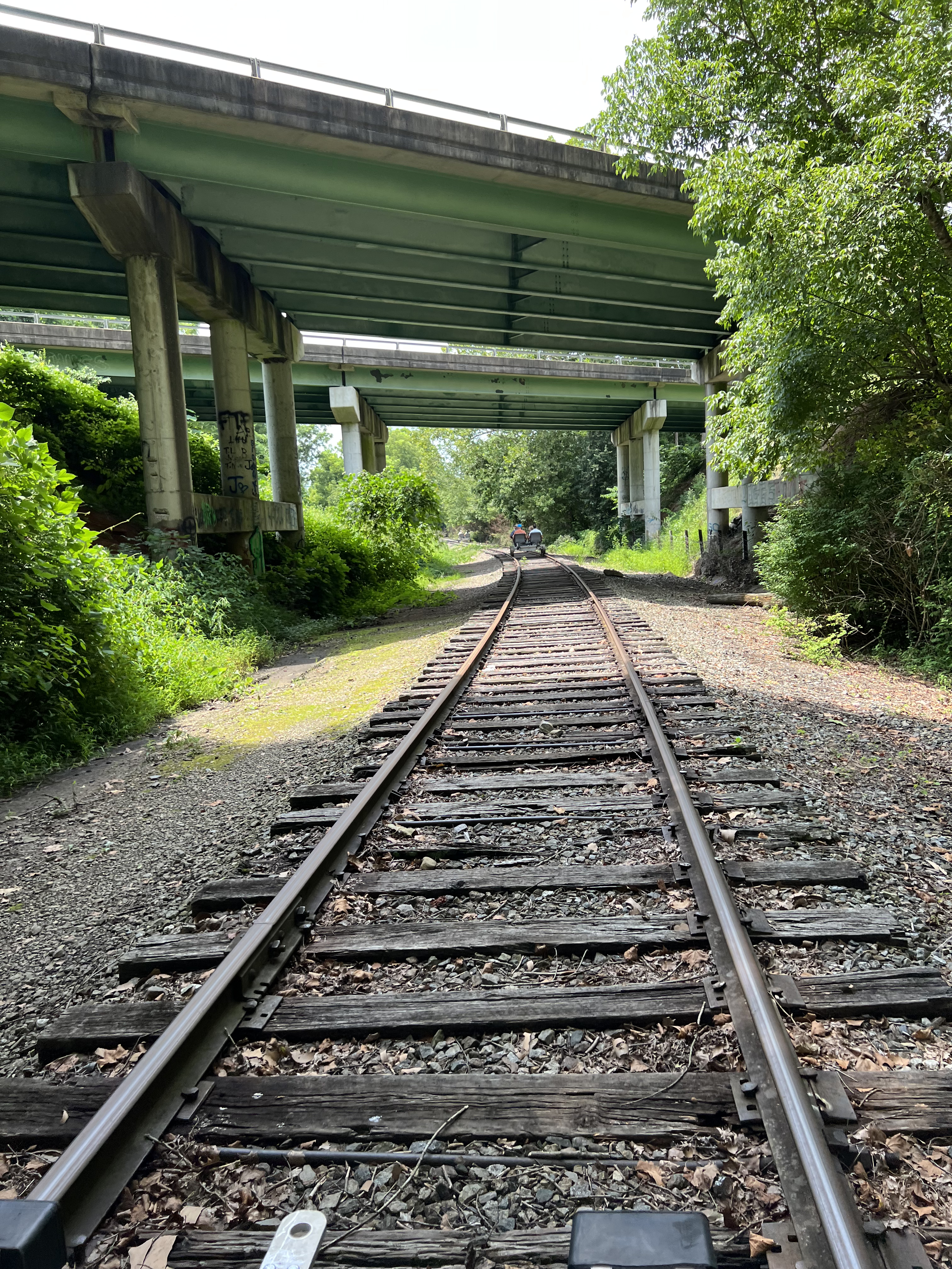 ./2023/11 - Asheville/IMG_9908.jpg